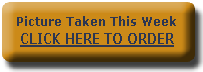 CLICK HERE TO ORDER